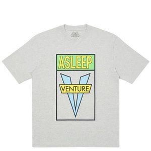 Palace Asleep to Venture